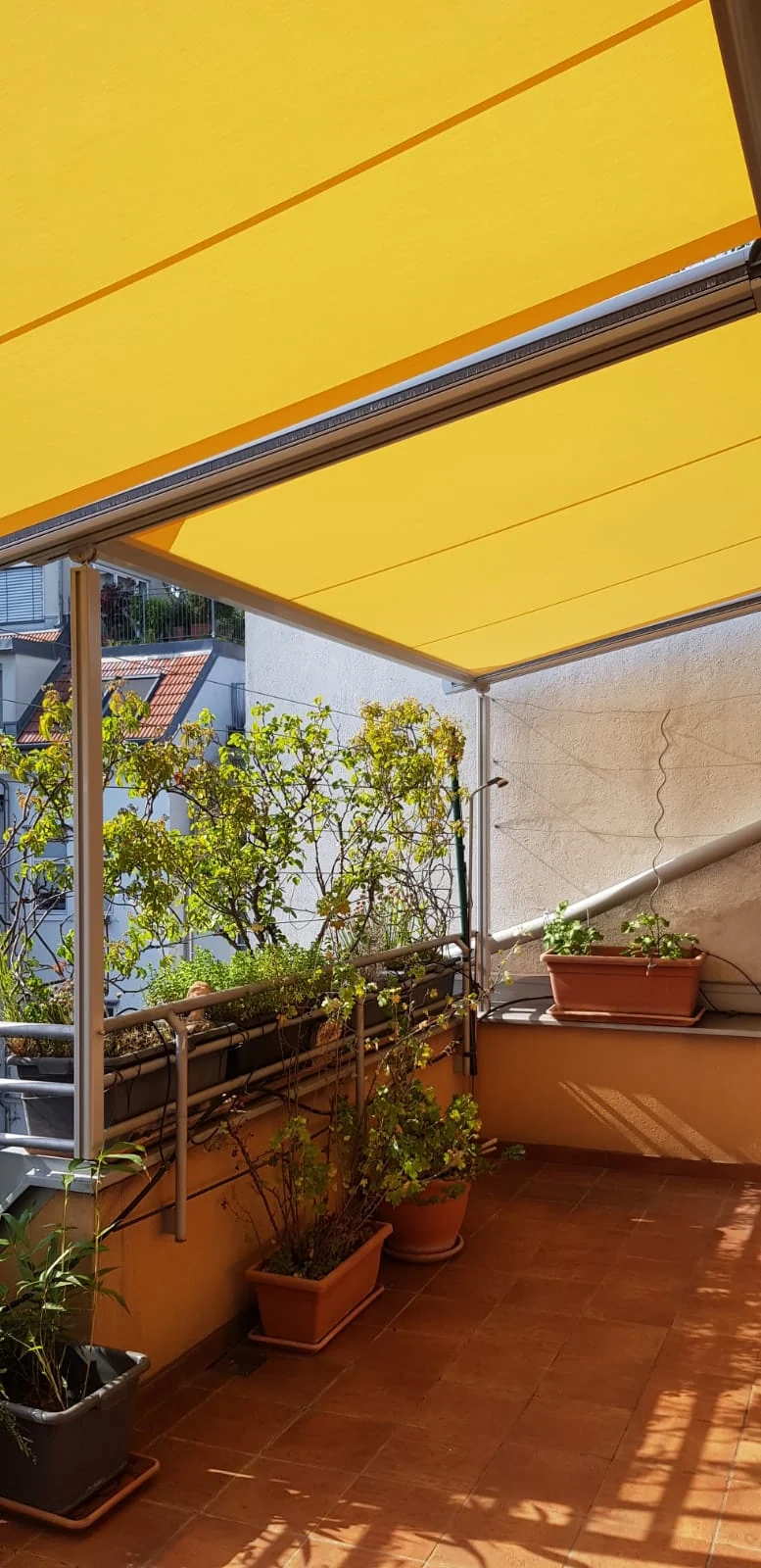 markise balkon